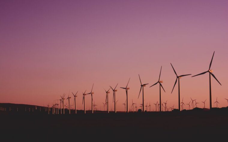 Las energías renovables ya cubren el 41,9% de la demanda eléctrica en Argentina