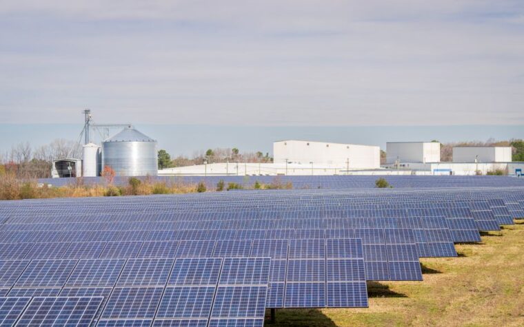 Argentina superó los 40 MW instalados en generación distribuida con casi 1900 usuarios-generadores