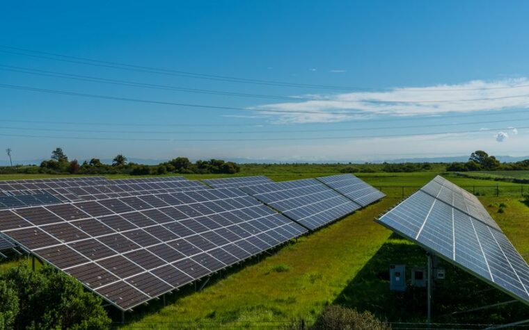 IEA: la energía solar fotovoltaica representa casi el 80% del crecimiento renovable mundial en 2025