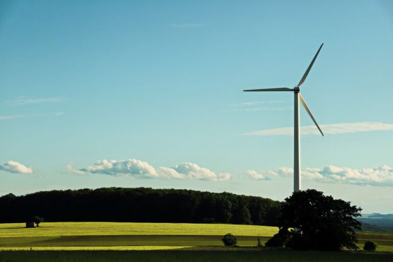 El 92% de la nueva capacidad eléctrica mundial en 2025 fue renovable, según La Vanguardia