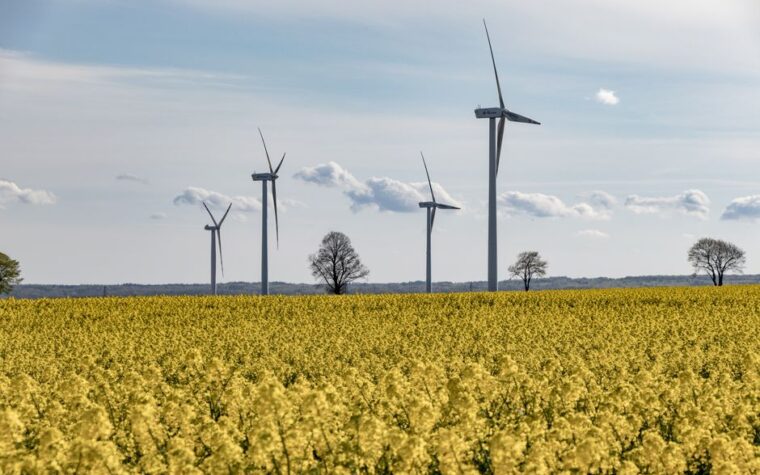 IRENA publica estadísticas globales de energía renovable 2025