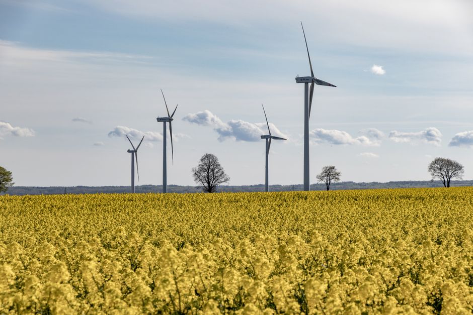 IRENA publica estadísticas globales de energía renovable 2025