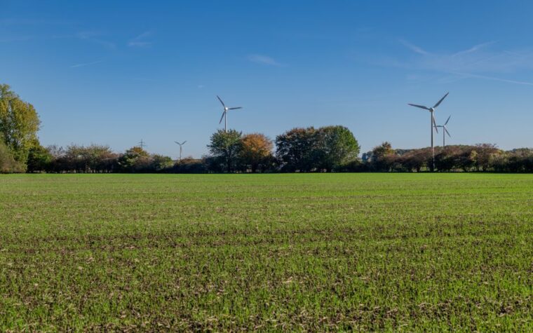 CAMMESA asigna 515 MW renovables a grandes consumidores en el tercer trimestre de 2025