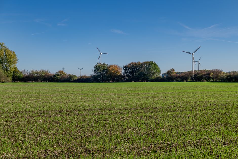 CAMMESA asigna 515 MW renovables a grandes consumidores en el tercer trimestre de 2025